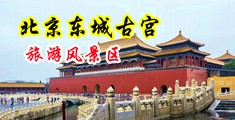 大屌操大红逼中国北京-东城古宫旅游风景区